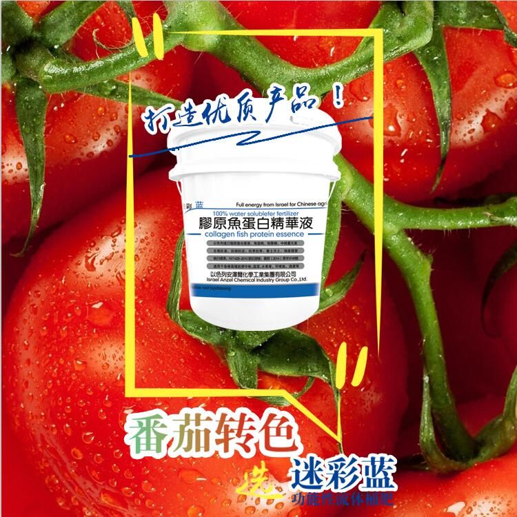 ������Һ�w��--����