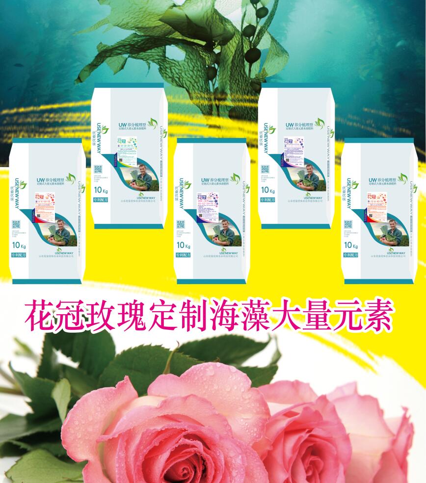 ����õ�嶨�ƺ������Ԫ��